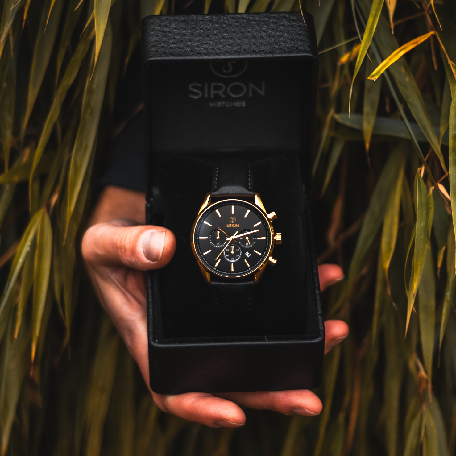Superior Chrono Deep Black - Royal Gold – Leather